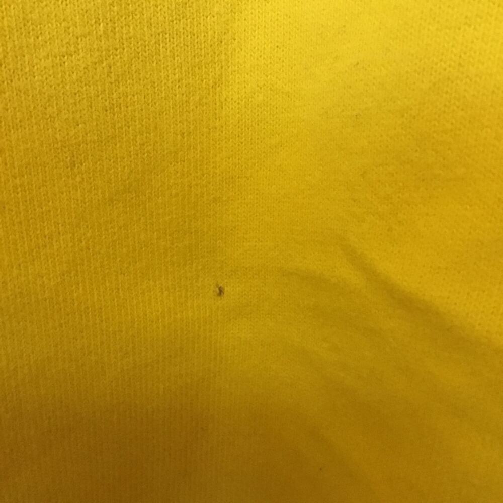Polo by Ralph Lauren Yellow Long-Sleeve Polo Shirt - Picture 10 of 11